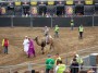 Thumbs/tn_Zwarte Cross 2015 236.jpg